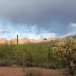 Sonoran Desert under storm clouds