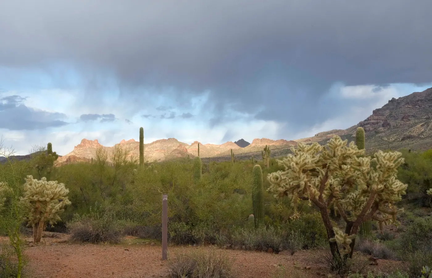 Arizona Down Payment Assistance, Explained for First-Time Buyers